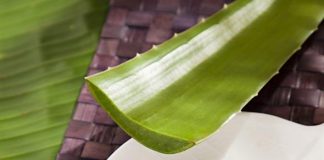 10 Ways Aloe Vera Can Be Used For Skin.